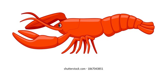 Lobster fish on a white background. Cartoon style vector illustration