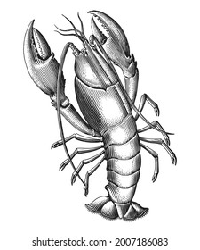 Lobster hand draw vintage engraving style black and white clip art isolated on white background