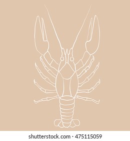 Lobster hand drawing. White contour sketch on beige background. Vector illustration