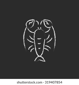 Lobster hand drawn in chalk on a blackboard vector white icon isolated on a black background.