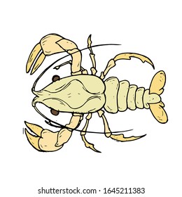 Lobster hand drawn illustration vector