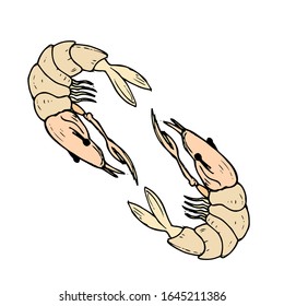 Lobster hand drawn illustration vector