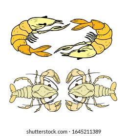 Lobster hand drawn illustration vector