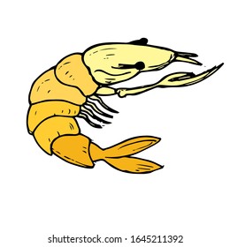 Vector de ilustración dibujado a mano