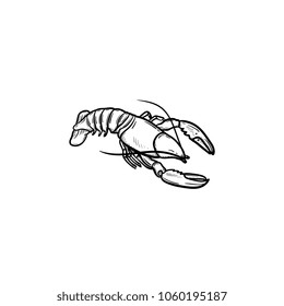 Lobster hand drawn outline doodle icon. Vector sketch illustration of healthy seafood - lobster or cancer for print, web, mobile and infographics isolated on white background.