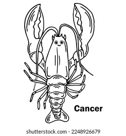 Lobster hand drawn outline doodle icon. Vector sketch illustration of healthy seafood - lobster or cancer for print, web, mobile and infographics isolated on white background.