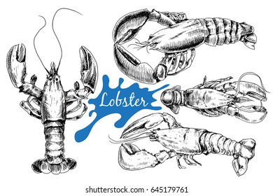 Lobster hand drawn sketch style vector illustration. Old hand drawn engraving imitation.