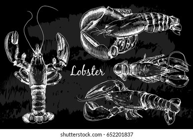 Lobster hand drawn sketch style vector illustration on chalkboard. Old hand drawn engraving imitation.