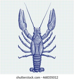 Lobster. Hand drawn sketch. Vector illustration on notebook sheet