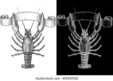 Lobster. Hand drawn sketch. Vector illustration