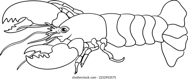 Lobster. Hand drawn underwater creatures. Vector sea life, seafood. Coloring pages with marine animals