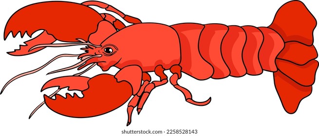 Lobster. Hand drawn underwater creatures. Vector sea life, seafood. Colored marine animals