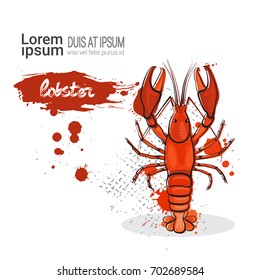 Lobster Hand Drawn Watercolor Sea Food On White Background With Copy Space Vector Illustration