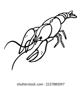 Lobster Hand-drawn outline Vector illustration in engraving style. Fresh organic seafood, crawfish, crayfish.