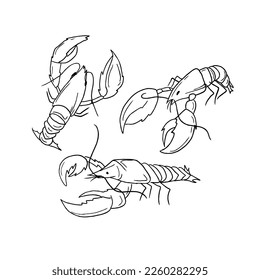 lobster handrawn doodle illustrations vector