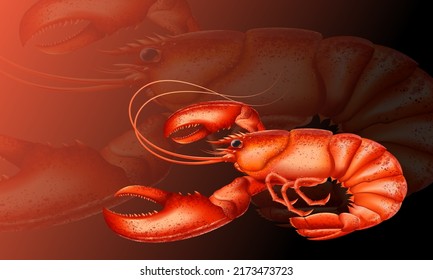 Lobster highly detailed vector. Shellfish detailed vector. Healthy meal. Cooking background. Logo closeup. Sea food.