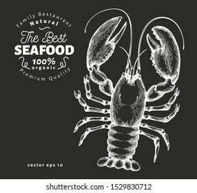 Lobster illustration. Hand drawn vector seafood illustration on chalk board. Engraved style. Retro sea animal