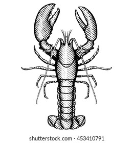 1,282 Etching lobster Images, Stock Photos & Vectors | Shutterstock