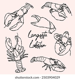 lobster illustrations, doodle style line art