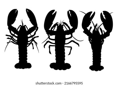 Lobster. Illustrations isolated on a white background.