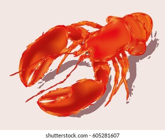 Lobster isolated