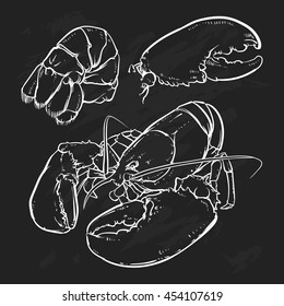 lobster isolated on a black background. Hand Draw lobster tail outline vector illustration.