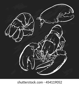 lobster isolated on a black background. Hand Draw lobster tail outline vector illustration.