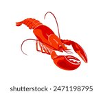 Lobster isolated on white background. Vector cartoon illustration of seafood.