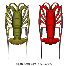 Lobster isolated on white background graphic vector