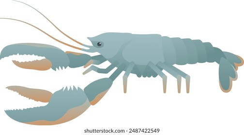 Lobster isolated. Water vector illustration of alive arthropod. Sea underwater animal color clip art.