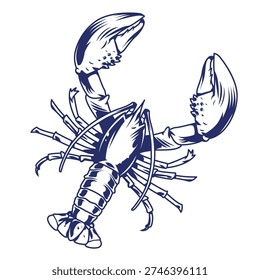 A lobster with large claws. The lobster is typically found in ocean waters. It is often sought after for food. Fishing for lobsters is a common activity along coastal areas.