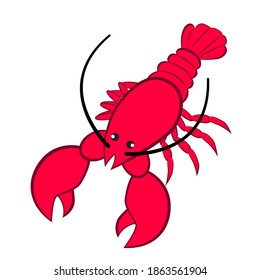 Lobster large commercial marine crayfish isolated white background.