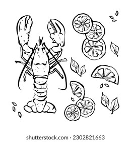 Langosta con lonchas de limón. Lobster line art