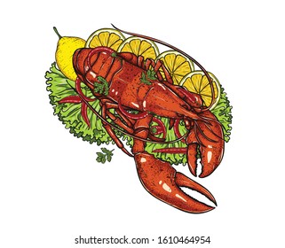 Lobster with lemon and vegetable on white background.boiled lobster vector art highly detailed in line art style.