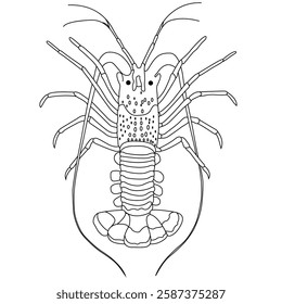 Lobster line art vector design. Lobster outline illustration design.
