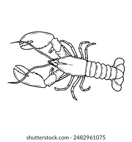 lobster line vector illustration,isolated on white background,top view