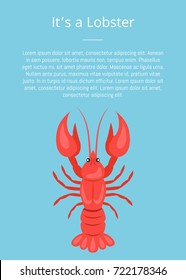 Its a lobster poster with red crayfish vector isolated on blue with text. Crawfish or crawdads, freshwater lobster, mudbugs or yabbies seafood