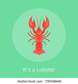 Its a lobster poster with red crayfish vector isolated on green with text. Crawfish or crawdads, freshwater lobster, mudbugs or yabbies seafood