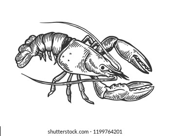 Lobster sea animal engraving vector illustration. Scratch board style imitation. Black and white hand drawn image.