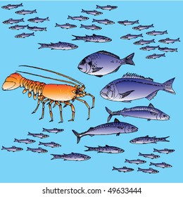 lobster and sea fish
