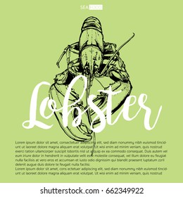 lobster Seafood
