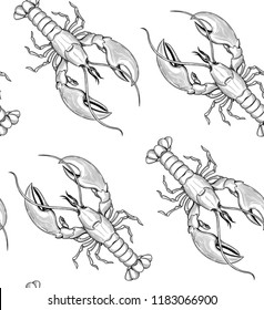 Lobster . Seafood. Vector illustration. Isolated image on white background. Vintage style.