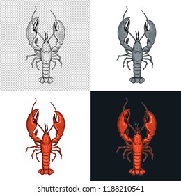 Lobster. Seafood. Vector illustration. Isolated image on white background. Vintage style.
