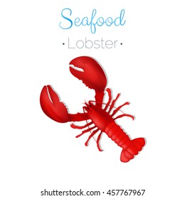 Lobster Seafood. Lobster vector illustration isolated on white background