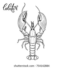 Illustration Lobster Engraving Style Isolated On Stock Illustration ...