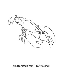 Lobster seafood vector illustration outline on the white background. Vector illustration