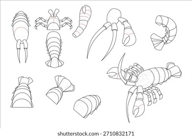 Lobster shape with manipulation contour