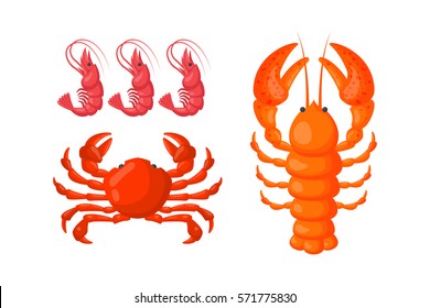 Lobster, Shrimp And Crab Vector Flat Illustration.