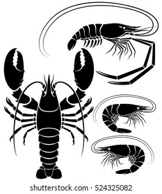 Lobster shrimp and prawn. Vector Illustrations.