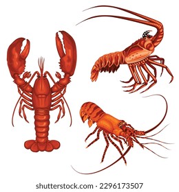 Lobster Shrimp Seafood Animal Sea Vector Illustration